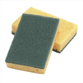 Sponge Scourers